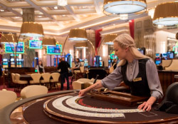 Игровой ассортимент казино Сочи