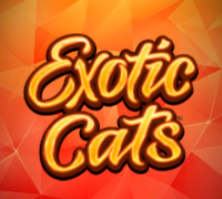 Exotic Cats Exotic Cats